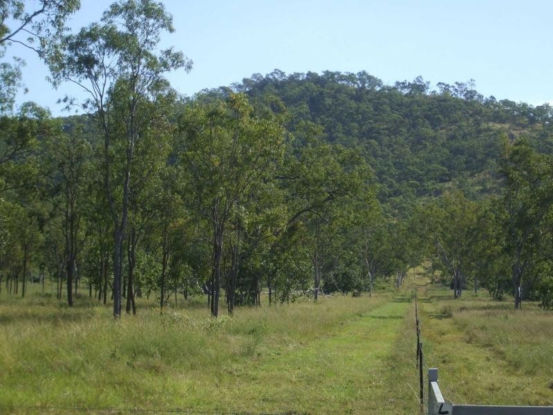 Majors Creek QLD 4816