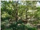 Alligator Creek QLD 4816