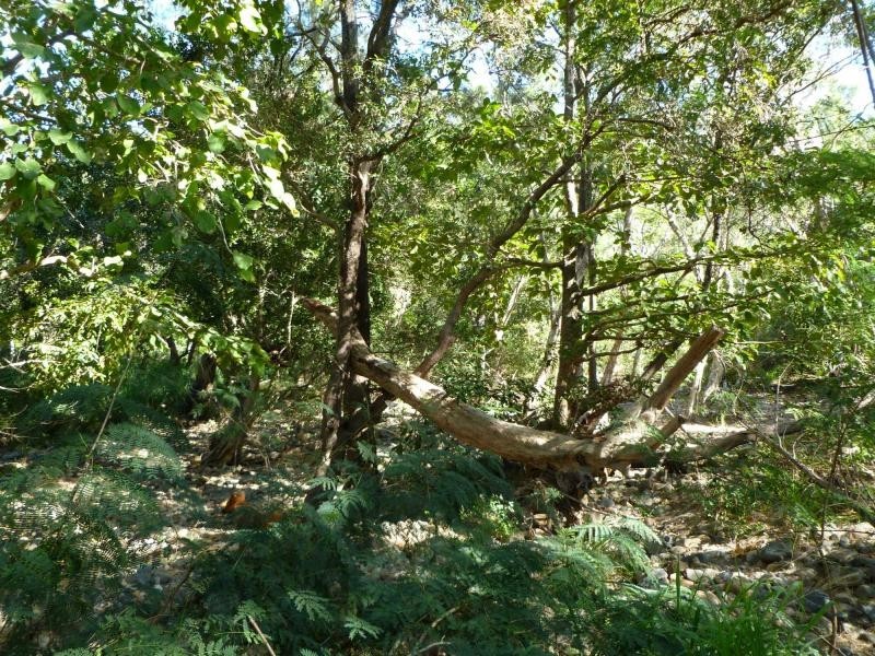 Alligator Creek QLD 4816