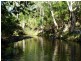 Lot 4 Williams Road, Alligator Creek QLD 4816