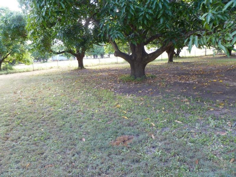 Lot 4 Williams Road, Alligator Creek QLD 4816