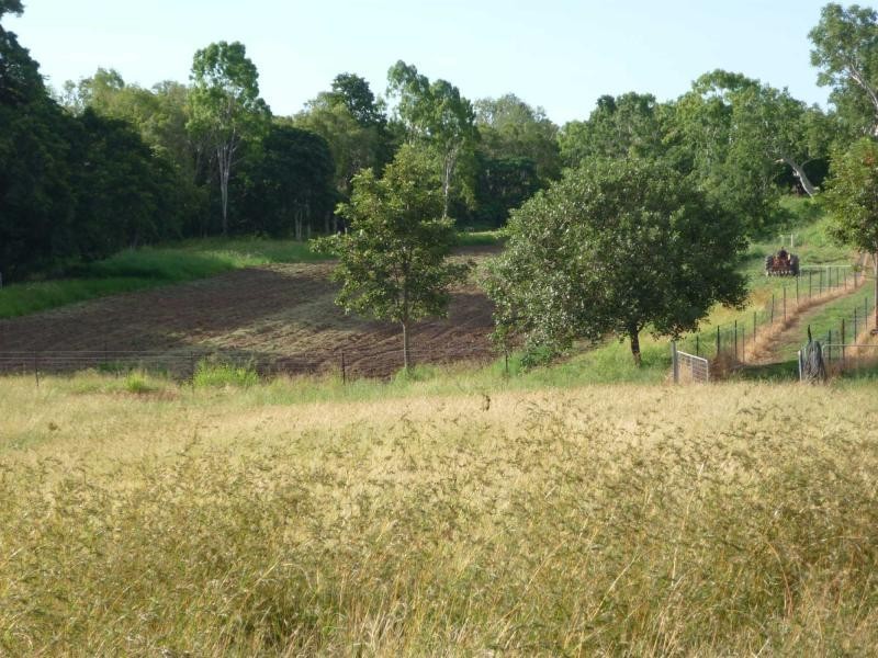 Lot 4 Williams Road, Alligator Creek QLD 4816