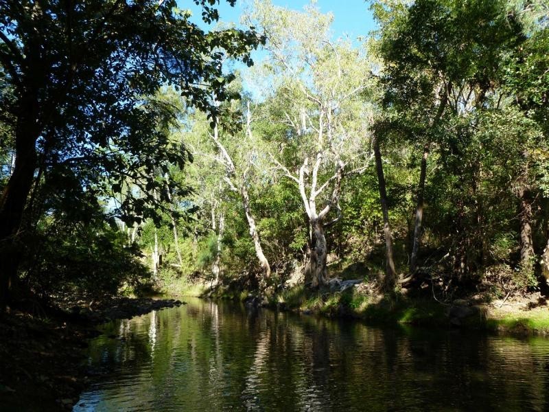 Lot 4 Williams Road, Alligator Creek QLD 4816