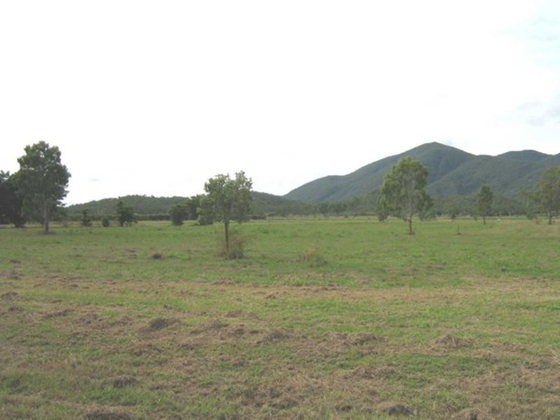 Alligator Creek QLD 4816