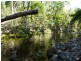 Alligator Creek QLD 4816