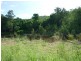 Alligator Creek QLD 4816