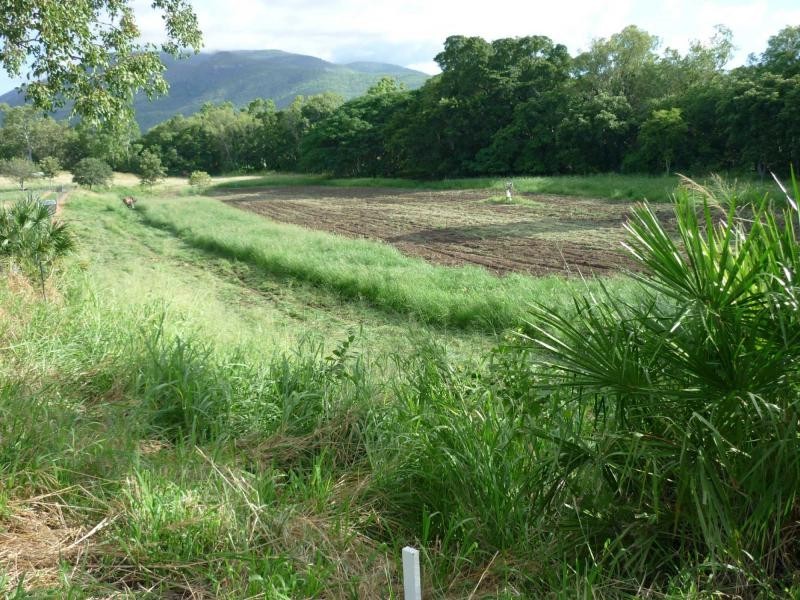 Alligator Creek QLD 4816