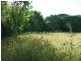 Alligator Creek QLD 4816