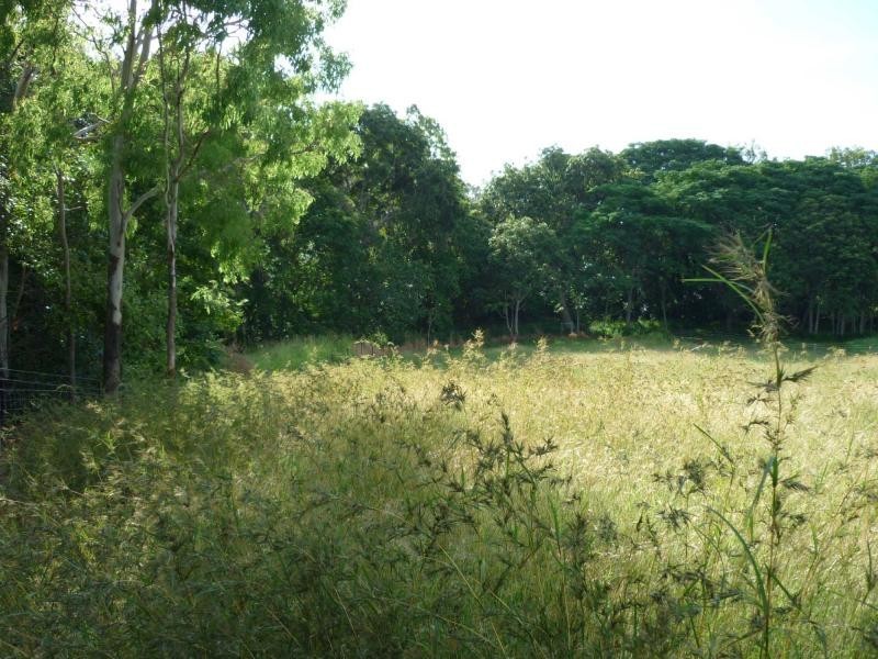 Alligator Creek QLD 4816