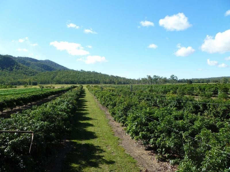 Majors Creek QLD 4816