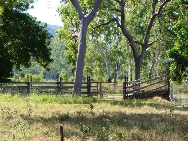 Majors Creek QLD 4816