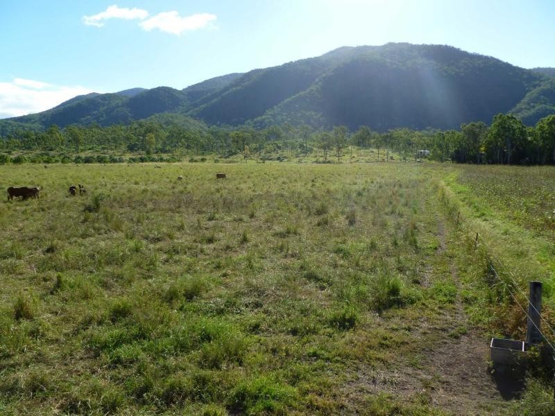 Majors Creek QLD 4816