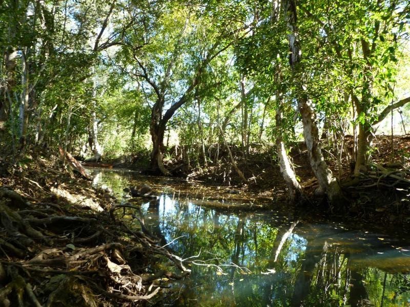 Majors Creek QLD 4816