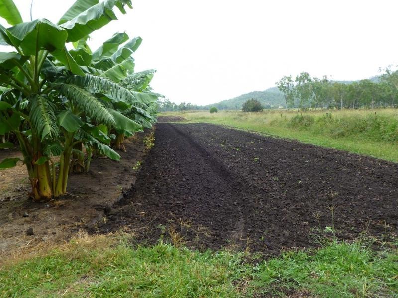 Majors Creek QLD 4816