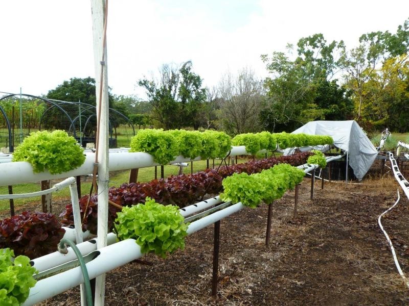 Majors Creek QLD 4816