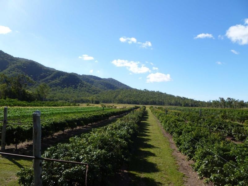 Majors Creek QLD 4816