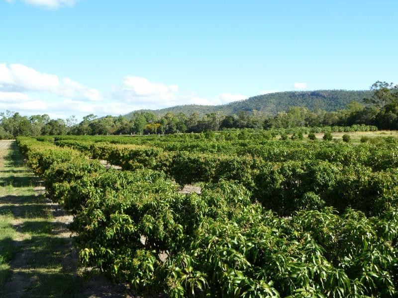 Majors Creek QLD 4816