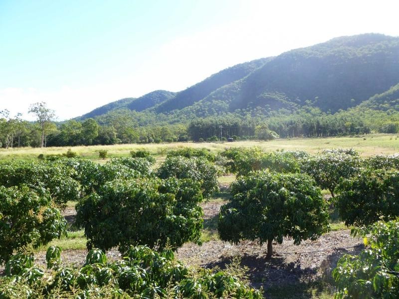 Majors Creek QLD 4816