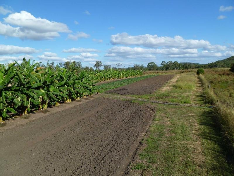 Majors Creek QLD 4816