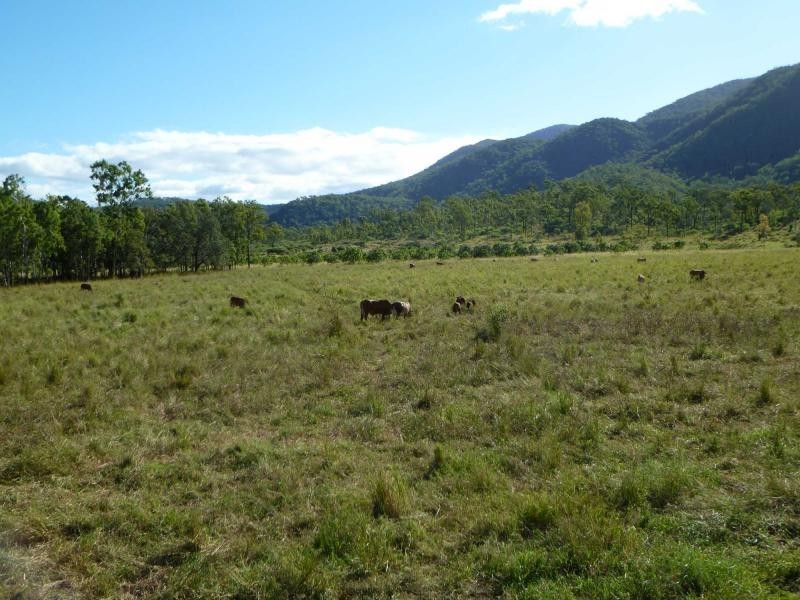 Majors Creek QLD 4816