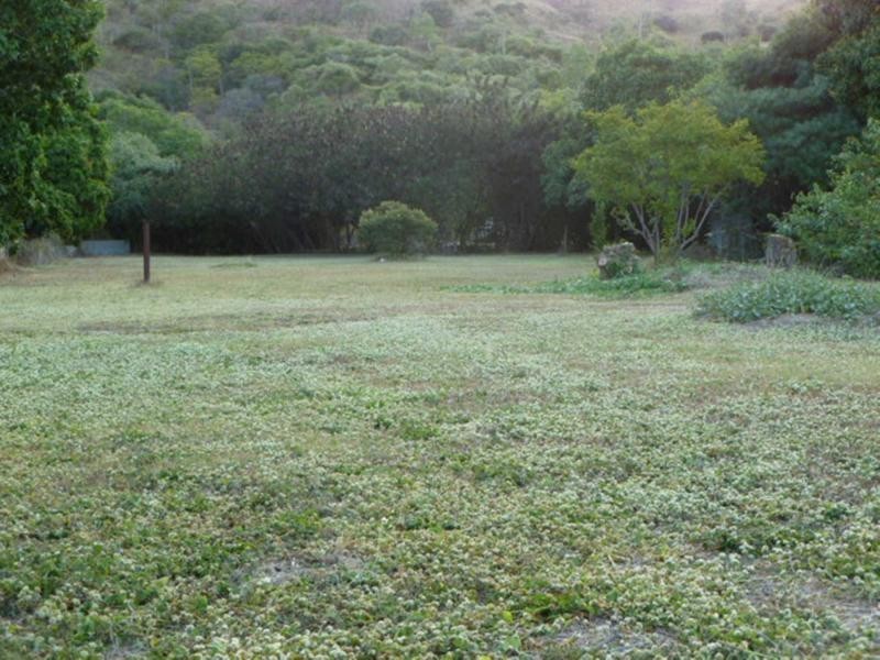 Stuart QLD 4811