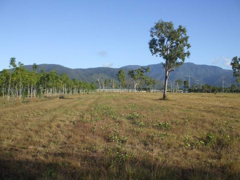 Balgal Beach QLD 4816