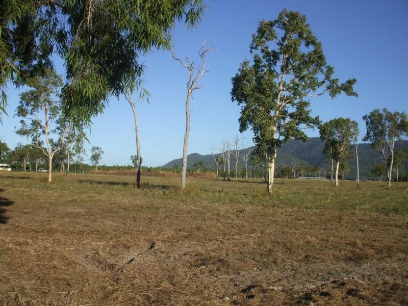 Balgal Beach QLD 4816