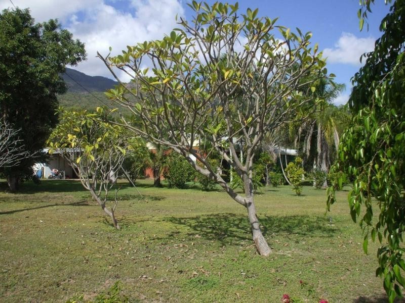 Toonpan QLD 4816