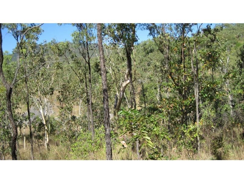 Alligator Creek QLD 4816