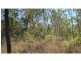 Alligator Creek QLD 4816