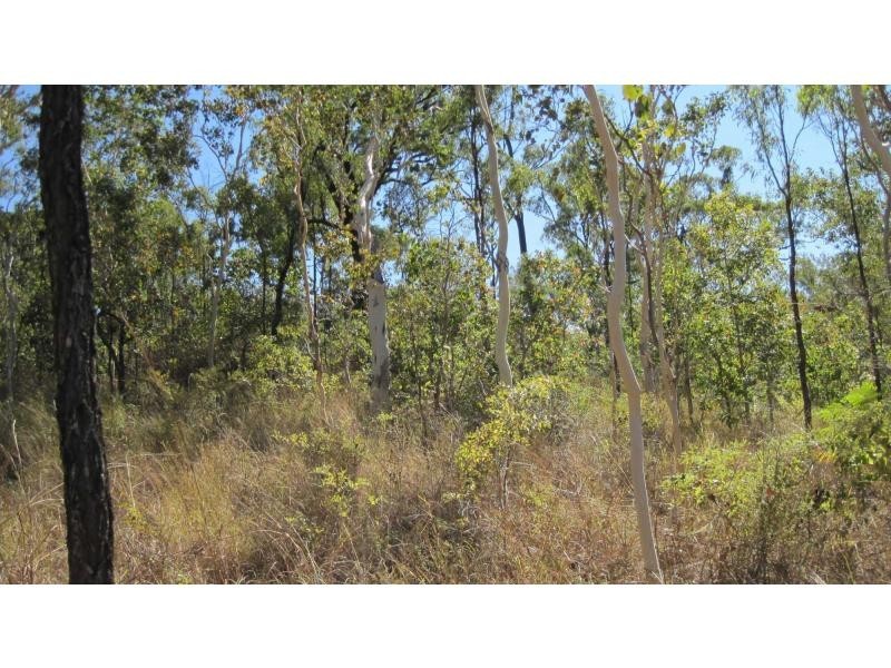 Alligator Creek QLD 4816