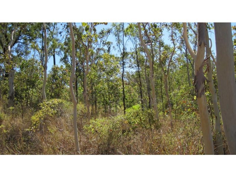 Alligator Creek QLD 4816