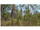 Alligator Creek QLD 4816