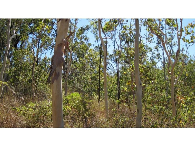 Alligator Creek QLD 4816