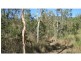 Alligator Creek QLD 4816