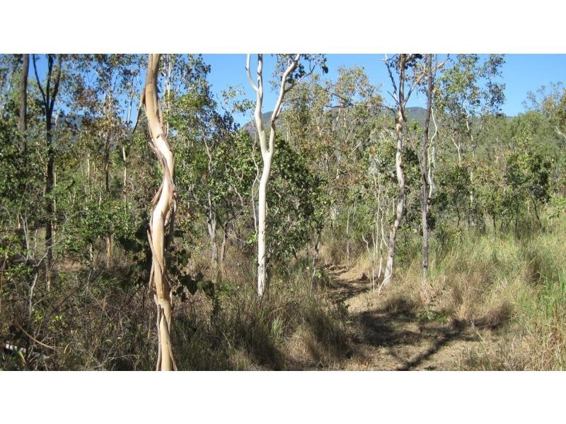 Alligator Creek QLD 4816