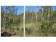 Alligator Creek QLD 4816