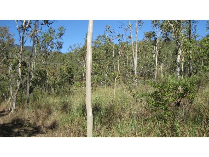 Alligator Creek QLD 4816