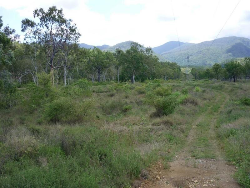 Majors Creek QLD 4816