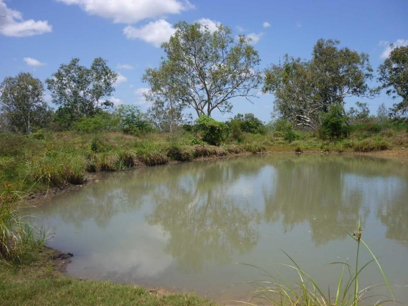 Majors Creek QLD 4816