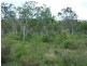 Majors Creek QLD 4816