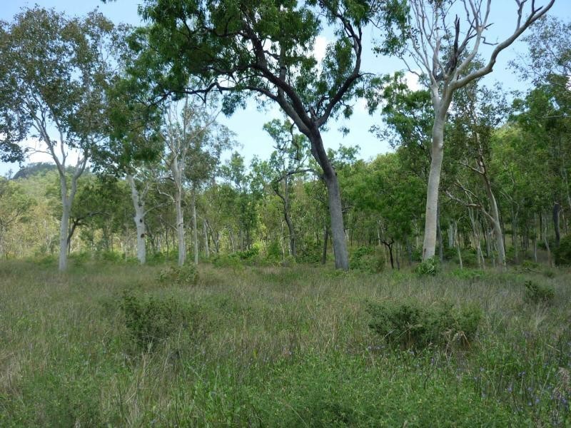 Majors Creek QLD 4816