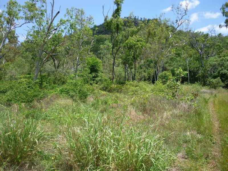 Majors Creek QLD 4816