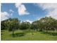 Alligator Creek QLD 4816