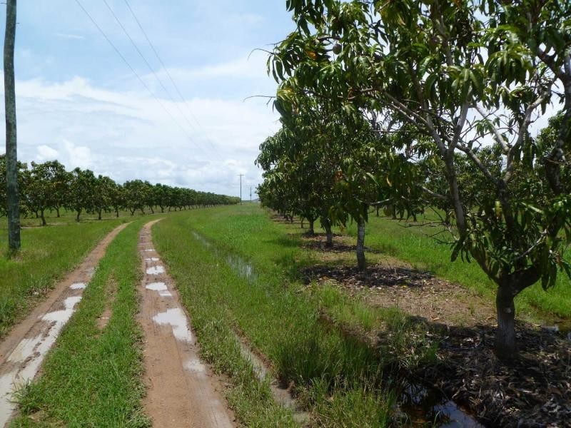 Horseshoe Lagoon QLD 4809