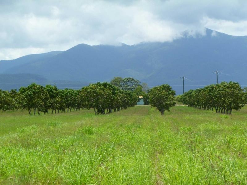 Horseshoe Lagoon QLD 4809