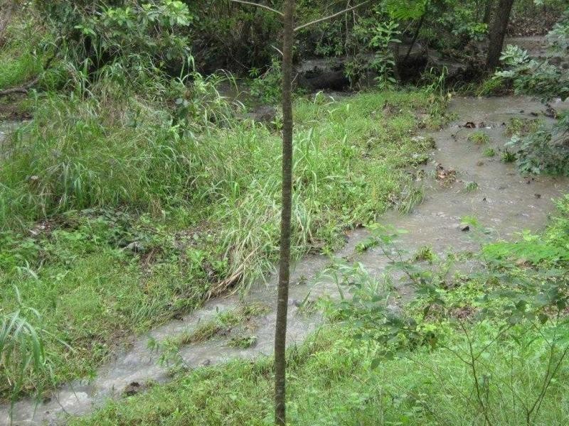 9 Mt Cradle Court, Alligator Creek QLD 4816