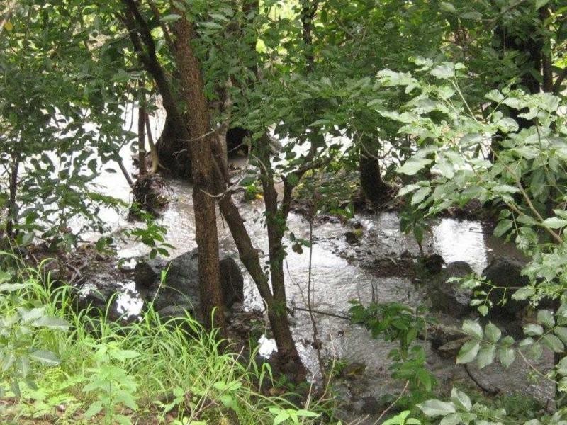 9 Mt Cradle Court, Alligator Creek QLD 4816