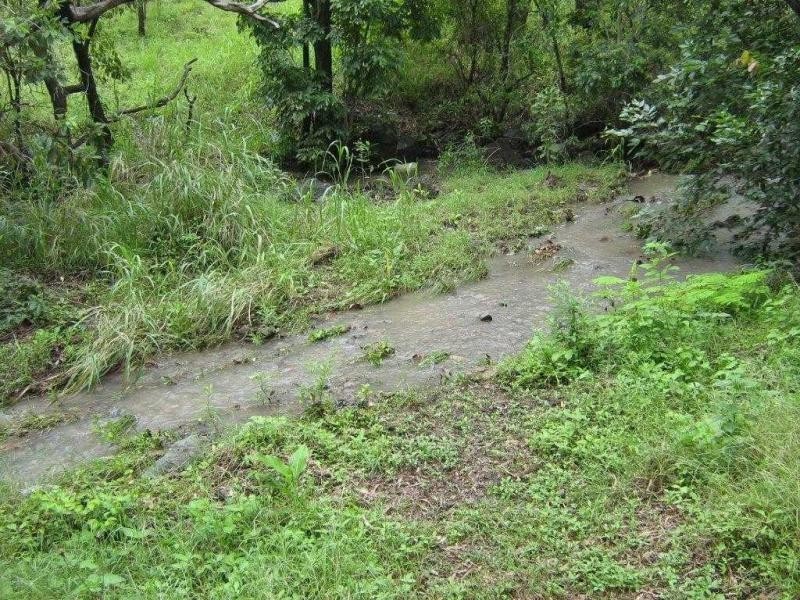 9 Mt Cradle Court, Alligator Creek QLD 4816