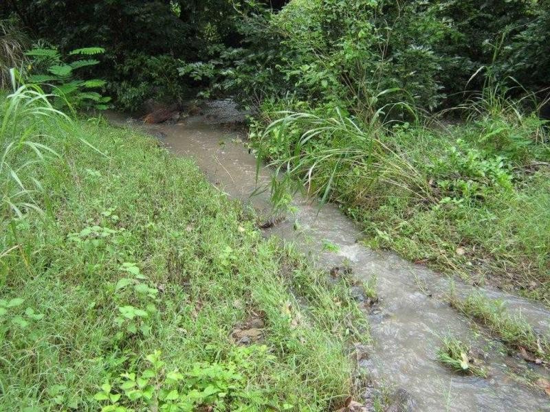 9 Mt Cradle Court, Alligator Creek QLD 4816